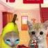 Let S Fix The Car To Help Banana Cat Happycatfunny Bananacat Happycat Cat