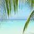 Exotic White Sand Tropical Beach Wave ASMR Sounds White Noise Nature Asmr Relax Asmrsounds