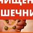 Очищение кишечника без клизмы в домашних условиях Как делать правильно Домашний лечебник