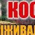 НОЧЕВКА В ЛЕСУ БЕЗ КОСТРА Выживание в лесу Ночевка в тайге на мокрых дровах Яма выживальщика