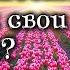 Оскаленко А Н Как привести в порядок свои чувства