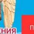 Откровения Ангелов Хранителей Начало 1 Любовь Панова Переселение душ Читает Таль Ман