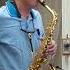 Hotel California Saxophone Cover