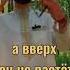 ЭФФЕКТ БАМБУКА