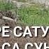 ДУЬНЕНАХЬ БОДА БЕШ ЕАРА СУЬЙРЕ чеченскиепесни
