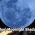 Moonlight Shadow By Mike Oldfield Moonlightshadow Mikeoldfield Bluemoon Guitarsolo