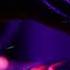 Basic Element I Ll Never Let You Know PromoDJ Remix