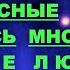 АрхиСРОЧНО Экстренная помощь Галактики