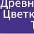 Друнвало Мельхиседек Древняя Тайна Цветка Жизни Том 1 Аудиокнига Ознакомительный фрагмент