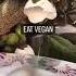 Somebody Tell Me Who Growing Eggs Fyp Eggplant Vegan Plant Funnyshorts Funny