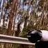скейтборд лонгборд даунхилл Калифорния Skateboard