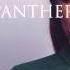 Panther