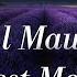Оркестр Поля Мориа Сборник Лучших Мелодий Paul Mauriat Collection Of The Best Melodies