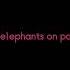 Pink Elephants Meme Lyrics