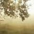 1 Hour Meditation Sudha And Maneesh De Moor Sacred Chants Of Devotion Meditation Music