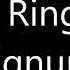 Nokia Ringtone Signum