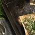 Bone Marrow On Toast Roccbox Recipes Gozney