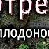 Оскаленко А Н Самоотречение и плодоносная жизнь
