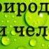 Значение бактерий в природе и жизни человека