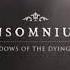 INSOMNIUM While We Sleep 2014 HQ