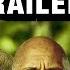 Honest Trailers Jumanji Welcome To The Jungle