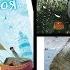 Книжный обзор приключения котобоя