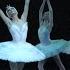 Swan Lake Full Ballet Eleonora Sevenard Denis Rodkin