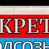 Отзыв на книгу Ментальный алхимик Владимир Древс Как управлять подсознанием и обрести уверенность