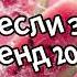 Танцуй если знаешь этот тренд 2024 года