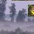 Охота на копытных Охота на косулю Мой манок Вечер в засаде Reh Jagd Abend Im Hinterhalt