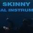 SKINNY OFFICIAL INSTRUMENTAL Billie Eilish