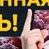 Как БЫСТРО растворить ТРОМБЫ в домашних условиях Как ПРЕДОТВРАТИТЬ образование тромбов НАВСЕГДА