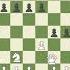 Fool S Mate Tembel Matı Chess Music Checkmate Fool Smate
