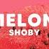 Harry Styles Watermelon Sugar Shoby Zach Oliver Cover