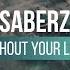 SaberZ Without Your Love