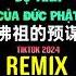 佛祖的预谋 抖音DJ铁柱版 Dự Tính Của Đức Phật Remix Tiktok 2024 Hot Tiktok Douyin