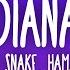 DJ Snake Hamza Diana