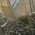 Roots The Middle Passage History