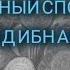 САМЫЙ БЕДНЫЙ СПОДВИЖНИК САИД ИБН АМИР