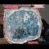 Terra Infinita Book On Our Other Channel If You Are Interested R3AL