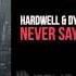 Hardwell Dyro Feat Bright Lights Never Say Goodbye OUT NOW