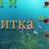 Владимир Мелёхин и Денис Портареску Черепаха и Улитка Детская песня для взрослых и детей