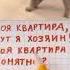 Кот и зеркало тестнапсихику песня приколы смешные животные коты
