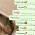 суп картошка огурец