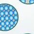 Arrangement Of Molecules In Solid Liquid And Gas Macmillan Education India