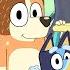 Bluey Full Episodes Keepy Uppy Sleepytime Bus And MORE 2 HOUR Compilation Disneyjr