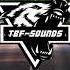 Vigiland Friday Night TBF Sounds Remix