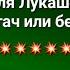 Коля Лукашенко будет ли богатым как папа