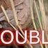 Honey Bun The Pangolin The Naughty Dinosaur You Ve Never Heard Of BBC