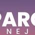 NEJ Paro Speed Up Lyrics